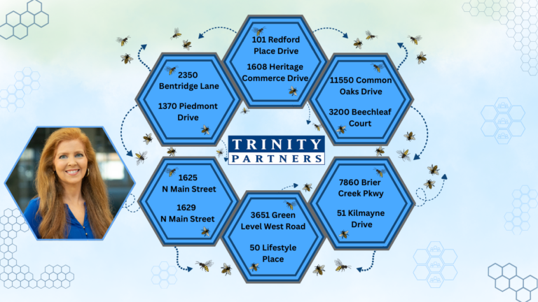 The Cross Pollination Effect: Why AB&B Partners with Teams Who Think Like Owners